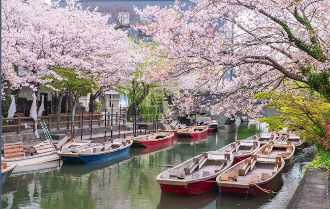 Strawberry Picking, Yanagawa Cruise, Saga History Tour from Fukuoka - Image 2